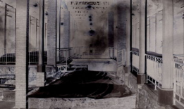 日本h视频,独特文化视角下的成人娱乐产业探秘